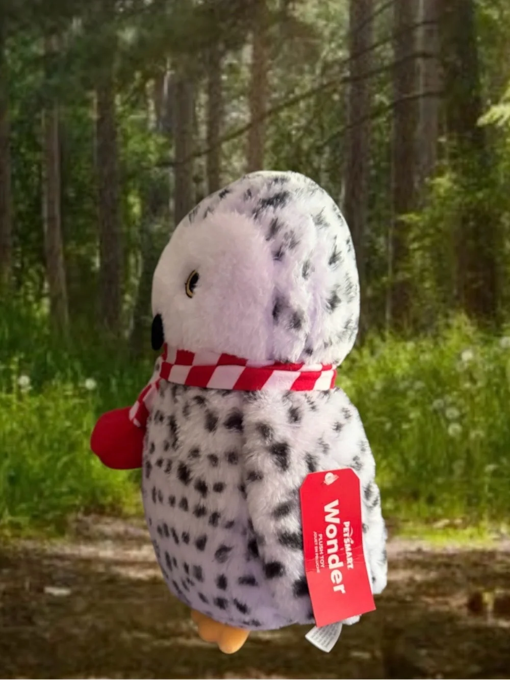 Petsmart Wonder Owl Plush Toy For Dog w/ Squeaker 13